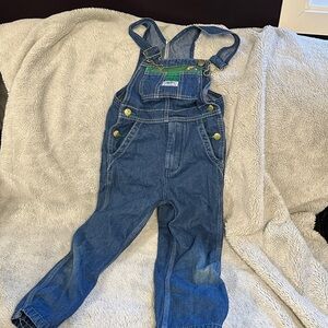 Liberty Blue Kids Denim Overalls with Green Accents